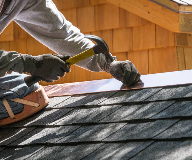 Best Roof Gutter Cleaning  in Mystic Island, NJ